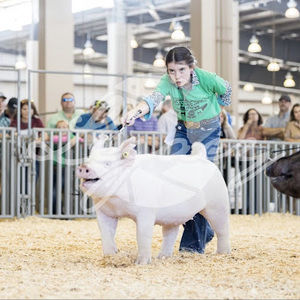 Meet your Posher, Annelise